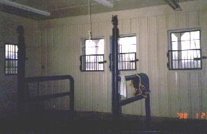 wash stall for horses